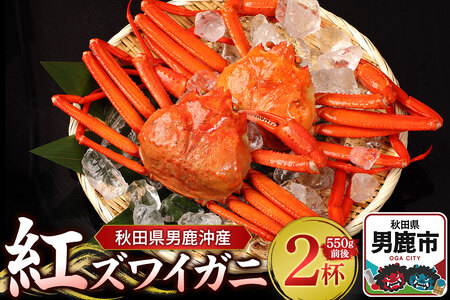 男鹿沖産紅ズワイガニ 550g 前後×2杯 男鹿なび 蟹 カニ 国産 秋田 ずわい蟹 ずわいガニ