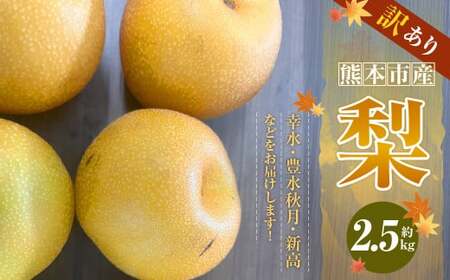 【訳あり】【数量限定】【先行予約】熊本市産 梨 (幸水・豊水・秋月・新高など) 約 2.5kg 果物 くだもの フルーツ 家庭用 訳あり なし ナシ 常温 熊本 熊本市【2026年8月下旬～10月下旬発送予定】