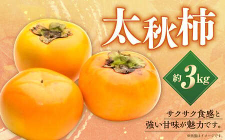 【数量限定】【先行予約】太秋柿 約 3kg 果物 くだもの フルーツ 柿 かき カキ 旬のフルーツ 旬の果物 冷蔵 熊本 熊本市【2026年10月上旬～11月下旬発送予定】