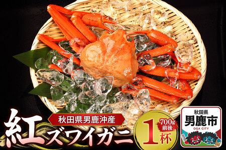 男鹿沖産紅ズワイガニ 700g 前後×1杯 男鹿なび 蟹 カニ 国産 秋田 ずわい蟹 ずわいガニ