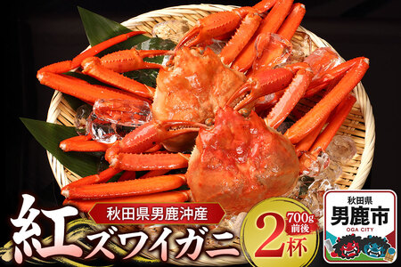 男鹿沖産紅ズワイガニ 700g 前後×2杯 男鹿なび 蟹 カニ 国産 秋田 ず