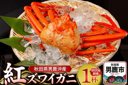 男鹿沖産紅ズワイガニ 800g 前後×1杯 男鹿なび 蟹 カニ 国産 秋田 ずわい蟹 ずわいガニ