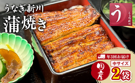 うなぎ 定期便 3ヵ月 新川 蒲焼き 中サイズ 2袋 蒲焼 うなぎの蒲焼 国産 国産うなぎ 冷凍配送 定期 3回