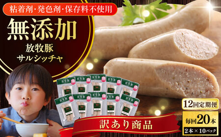 【全12回定期便】【訳あり】【結着剤・発色剤・保存料不使用】 放牧豚 サルシッチャ 2本x10セット（90g/パック） 訳あり ソーセージ ウインナー 無塩せき 冷凍配送 セット 詰め合わせ 北海道 [AXBA077]