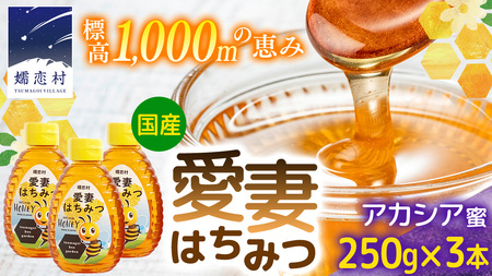 嬬恋村 愛妻はちみつ ( アカシア ) 250g × 3個セット [AC010tu]