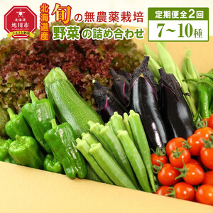 【2026年先行予約】7・8月　計2回定期便　北海道産旬の無農薬栽培　野菜の詰め合わせ7～10種類  | 野菜詰め合わせ _04700
