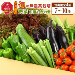 【2026年先行予約】7・8・9・10月　計4回定期便　北海道産旬の無農薬栽培　野菜の詰め合わせ7～10種類 | 野菜詰め合わせ _04702