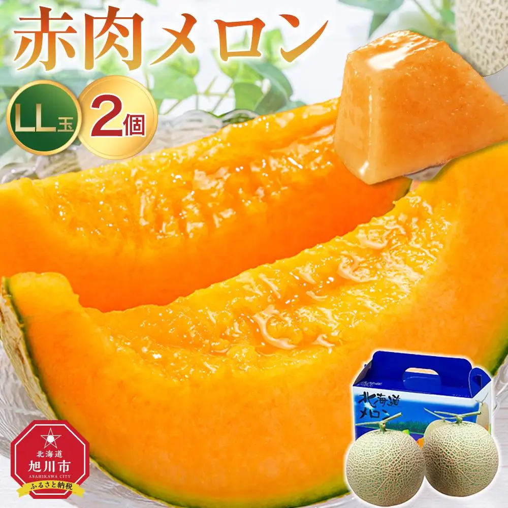 【26年発送先行予約】北海道 秀品 「赤肉メロン」LL玉×2個 (2026年7月発送開始予定) _04754