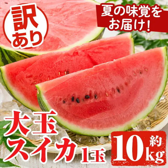 ＜先行予約受付中！2026年6月中旬以降順次発送予定＞訳あり！鹿児島県産 大玉スイカ(1玉・約10kg) 国産 果物 スイカ すいか 西瓜 フルーツ スイーツ スムージー ジュース【松永青果】akn053-21