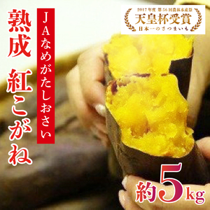 【行方かんしょ】『天皇杯受賞』JA「紅こがね」さつまいも約5kg(AE-106)