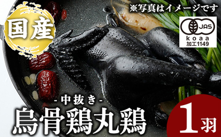 K-333 国産！オーガニック烏骨鶏丸鶏(中抜き)1羽【お多福たまご】霧島市 国産 九州産 鹿児島県産 烏骨鶏 うこっけい 鶏肉 鳥肉 鶏 とり 丸どり 無投薬 ワクチンフリー オーガニックチキン