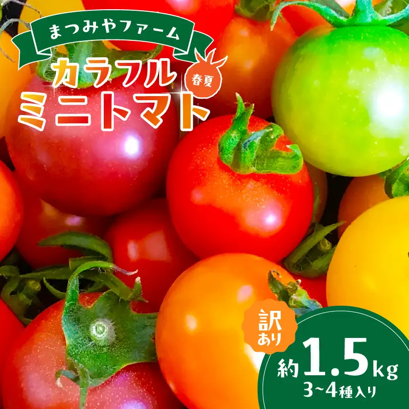【トマト】訳あり春夏ミニトマト 1.5kg