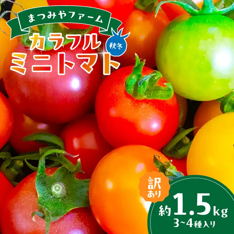 訳あり カラフルミニトマト 約1.5kg 秋冬発送【ミニトマト】