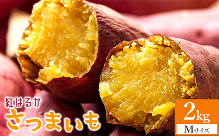 さつまいも(紅はるか) Mサイズ 2kg【さつまいも 香南市産さつまいも おすすめさつまいも 甘いさつまいも 人気さつまいも さつまいも 期間限定さつまいも】 at-0058