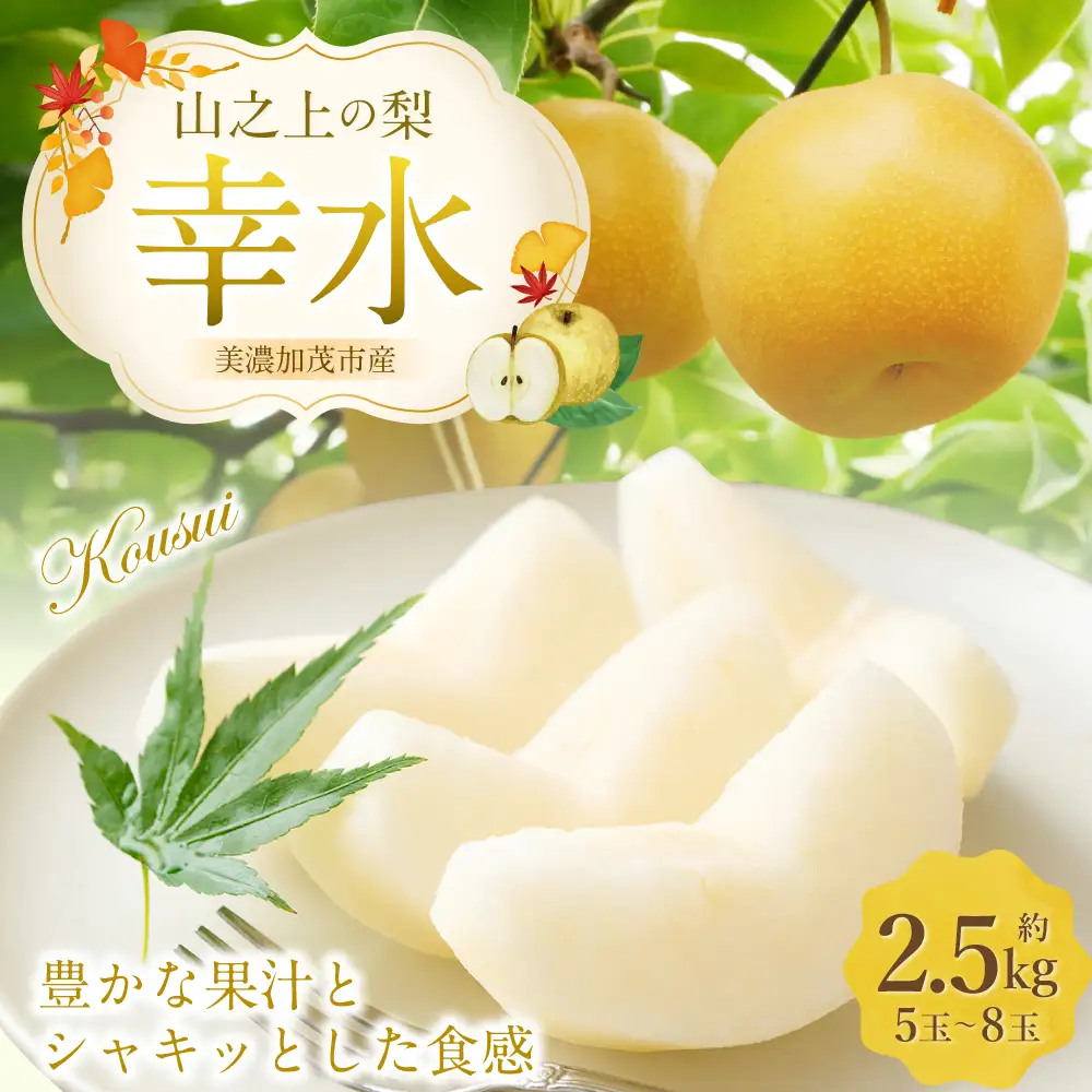 《先行予約》 「山之上果実農業協同組合」 山之上の梨 幸水 1箱 約 2.5kg （ 5-8玉 )  【2026年8月上旬-8月下旬 発送予定】