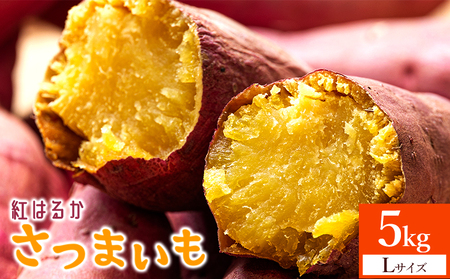 さつまいも(紅はるか) Lサイズ 5kg【さつまいもさつまいもさつまいもさつまいもさつまいもさつまいもさつまいもさつまいも】 at-0062