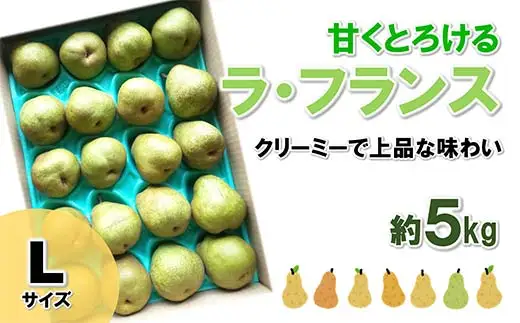 【令和8年産先行予約】 ラ・フランス 約5kg (19玉 秀 Lサイズ) 《令和8年11月上旬～発送》 『田口農園』 ラフランス 西洋梨 洋なし 果物 フルーツ デザート 山形県 南陽市 [1295-R8]