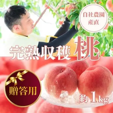 【2026年発送】【贈答用】完熟収穫桃 約1kg 山梨県産 自社農園産直!【配送不可地域：離島】【1580902】