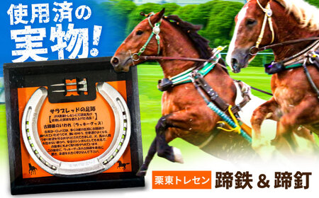 【JRA/日本中央競馬会】競走馬が使用した蹄鉄と蹄釘のセット [BICB001]