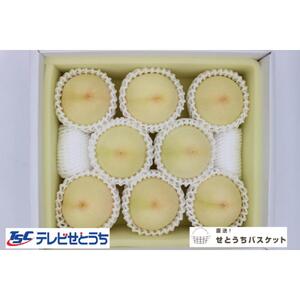 岡山白桃・晩生（ご家庭用）約２kg（６～９玉入り）【2026年発送】