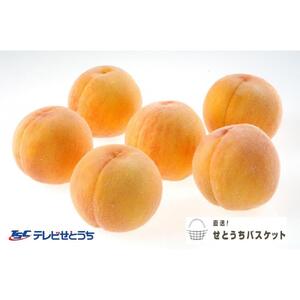 黄金桃（ご家庭用）約２kg（６～９玉入り）【2026年発送】