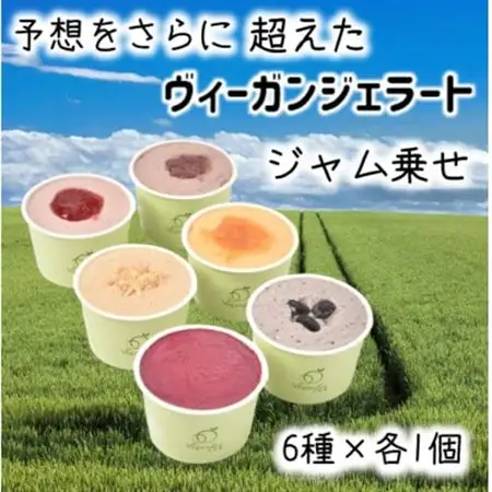 北海道産ヴィーガンジェラート　ジャム乗せ　6個セット_菓子・スイーツ アイス・ジェラート  _【配送不可地域：離島】【1553683】