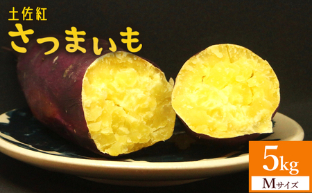 【2026年発送分】さつまいも(土佐紅) Mサイズ 5kg さつまいも at-0050