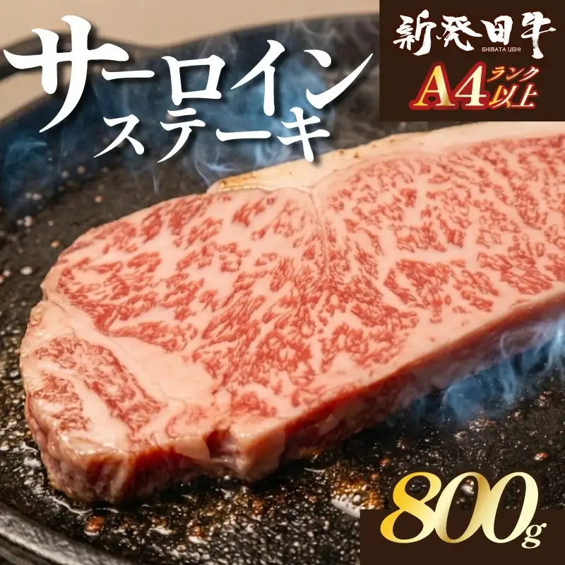 新発田牛 国産 牛肉 サーロイン ステーキ 800g 冷凍 BBQ バーベキュー 厚切り キャンプ ステーキ サーロイン enomoto011