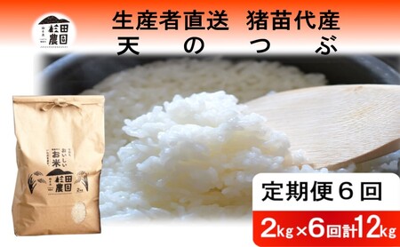 【定期便 6回】【令和7年度産】 米 天のつぶ 12kg(2kg×6回) 白米 精米 ※沖縄・離島への配送不可