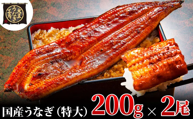 うなぎ蒲焼 200g×2尾(400g) うなぎ ウナギ 鰻 蒲焼 蒲焼き冷凍 国産 大五 大五通商 静岡 島田市