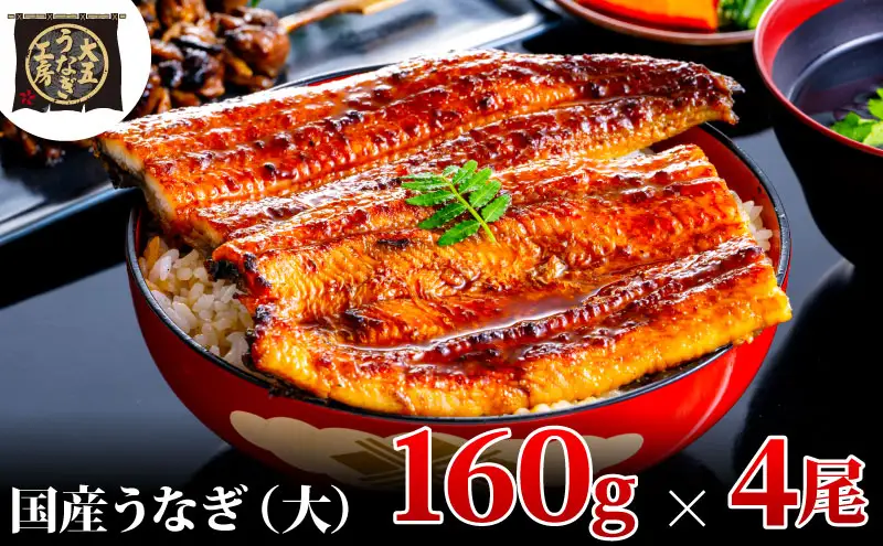 うなぎ蒲焼 160g×4尾(640g) うなぎ ウナギ 鰻 蒲焼 蒲焼き冷凍 国産 大五 大五通商 静岡 島田市