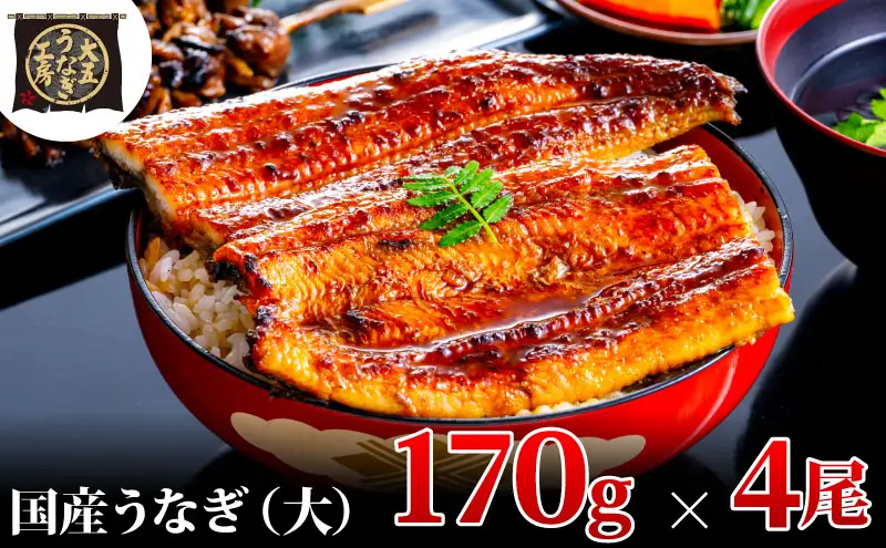 うなぎ蒲焼 170g×4尾(680g) うなぎ ウナギ 鰻 蒲焼 蒲焼き冷凍 国産 大五 大五通商 静岡 島田市