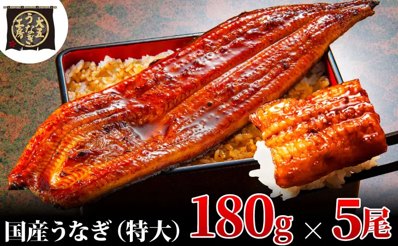 うなぎ蒲焼 180g×5尾(900g) うなぎ ウナギ 鰻 蒲焼 蒲焼き冷凍 国産 大五 大五通商 静岡 島田市