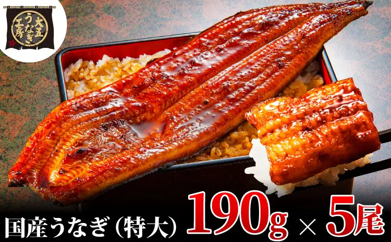 うなぎ蒲焼 190g×5尾(950g) うなぎ ウナギ 鰻 蒲焼 蒲焼き冷凍 国産 大五 大五通商 静岡 島田市