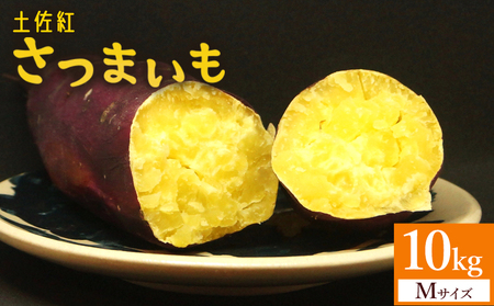 【2026年発送分】さつまいも(土佐紅) Mサイズ 10kg 芋 芋 at-0051