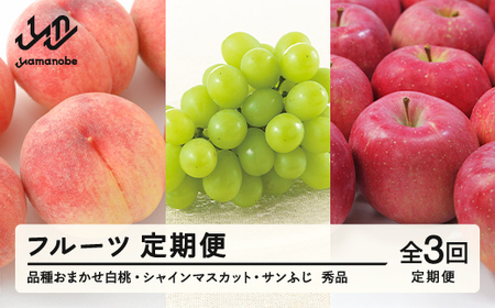 【先行予約】【定期便】フルーツ定期便 全3回 白桃 葡萄 ブドウ ぶどう シャインマスカット 林檎 りんご サンふじ tf-ft3hbr ※沖縄・離島への配送不可