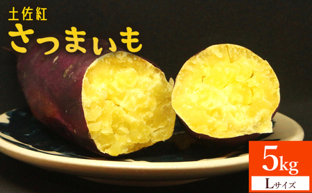 【2026年発送分】さつまいも(土佐紅) Lサイズ 5kg 野菜 野菜 at-0053