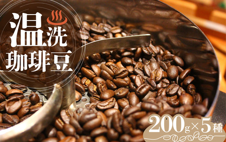 温洗珈琲豆 200g×5袋【 コーヒー コーヒー豆 ドリップコーヒー コーヒー 珈琲 コーヒー 珈琲豆 自家焙煎 コーヒー  】