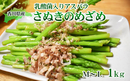 令和8年産　はなまる農園の乳酸菌入りアスパラ【さぬきのめざめ1kg】М～L アスパラガス 野菜 野菜セット 