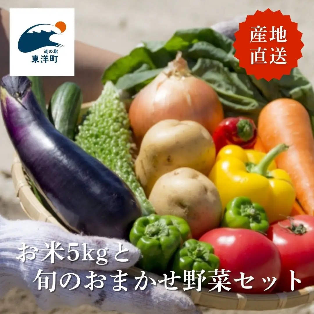 MT002　お米5kgと旬の野菜の詰め合わせ 道の駅東洋町おまかせセット 季節の野菜 米 おまかせ