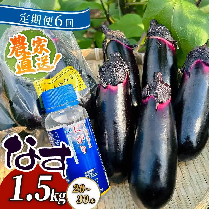 【定期便6回発送】農家直送　土佐の美味茄子の新鮮ナス　1.5kg　（室戸海洋深層水にがり使用） 野菜 なす ナス 常温 小袋 国産 夏野菜 茄子 小分け 旬 30000円 高知 頒布会