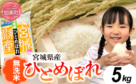 無洗米 ひとめぼれ 5kg ❘ 無洗