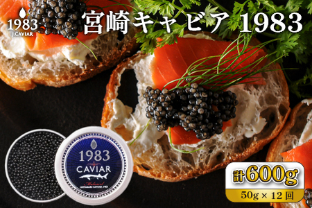 【定期便・全12回】【国際線ファーストクラス採用】宮崎キャビア1983 50g×12回（国産 キャビア 魚卵 宮崎県 宮崎 小林市 定期便）