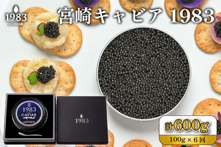 【定期便・全6回】【国際線ファーストクラス採用】宮崎キャビア1983 100g×6回（国産 キャビア 魚卵 宮崎県 宮崎 小林市 定期便）