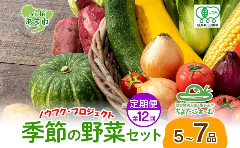 定期便 全12回 季節の野菜詰め合わせ ノウフク 冷蔵便 就労支援 セット 詰合せ 農福 農福JAS 無農薬 有機JAS 有機栽培 オーガニック 野菜 新鮮 料理 旬 季節 無農薬 千代田ファーム 愛知県 あま市