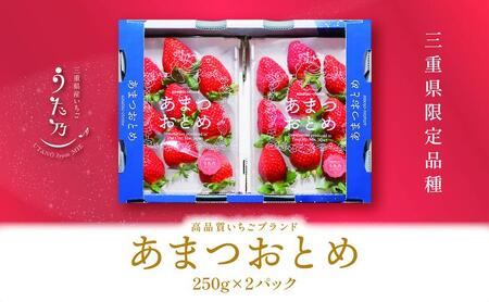 いちご出品 あまつおとめ イチゴ「うた乃」三重県限定品種 計500g (250g×2パック