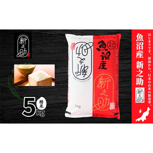 【令和7年産】魚沼産新之助(精米)5kg 米 お米 精米 しんのすけ 中魚沼 新潟県 十日町市