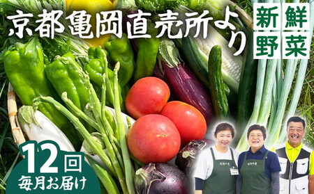 【12回定期便】旬の朝採れ 新鮮野菜セット 野菜 7～10品 