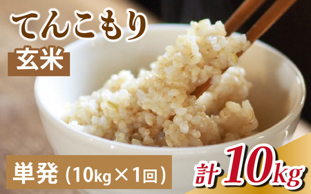 25年10月中旬以降順次発送 富山県滑川産「てんこもり」与文のお米（玄米10kg）産地直送 袋 玄米10kg おにぎり お米 白米 国産 ご飯 ごはん 富山県 滑川市 アグリめぐみ B-050001
