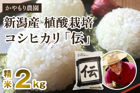 【令和7年産】新潟産コシヒカリ「伝」白米真空パック 精米2kg 《9月下旬〜順次出荷》